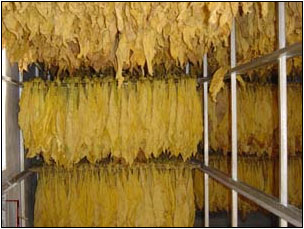 煙草行業加濕器