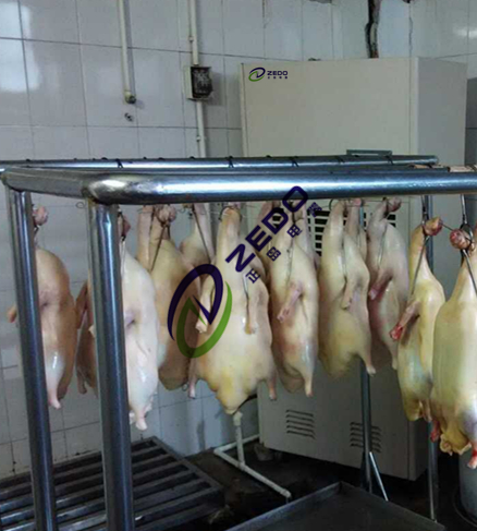 烤鴨風(fēng)干房除濕機(jī)