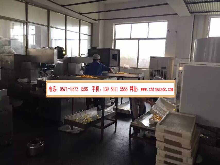 糖果加工廠用除濕機