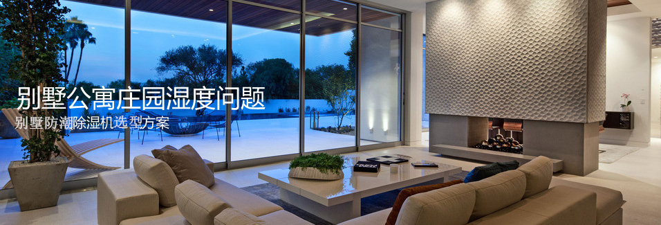 室內(nèi)家裝用除濕機