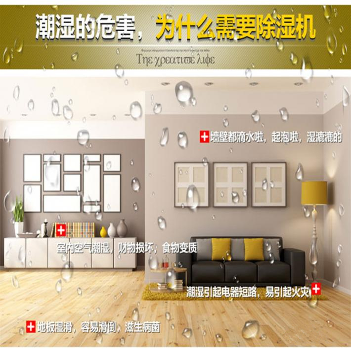 別墅用吊頂式除濕機