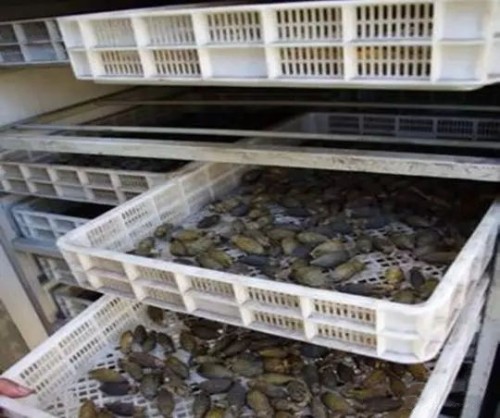 檳榔烘干除濕機(jī)