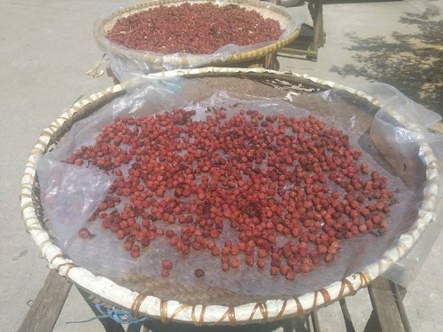 烘干用除濕機(jī)