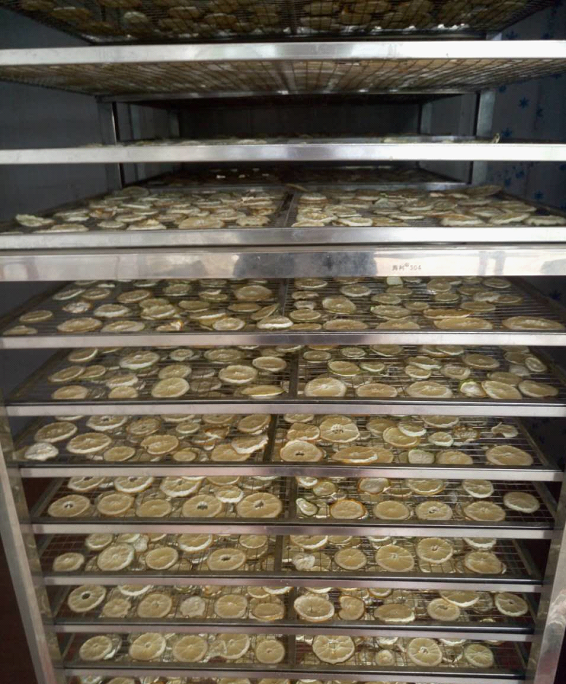 檸檬片烘干除濕機