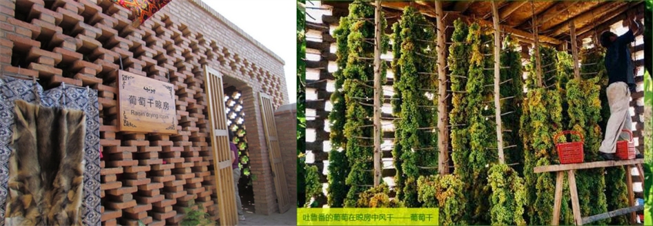 葡萄干烘干除濕機