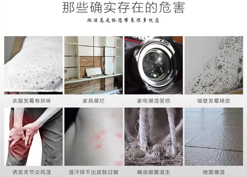 防潮除濕機(jī)
