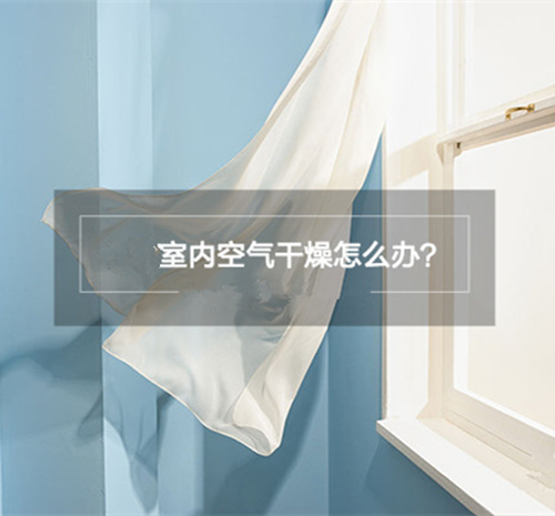 室內干燥怎么辦？