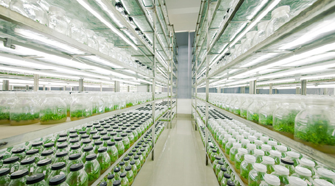 組培培養室除濕機