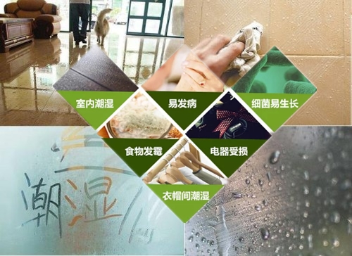防潮除濕機(jī)