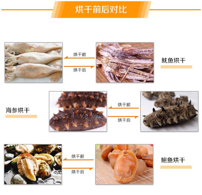 鮑魚烘干機