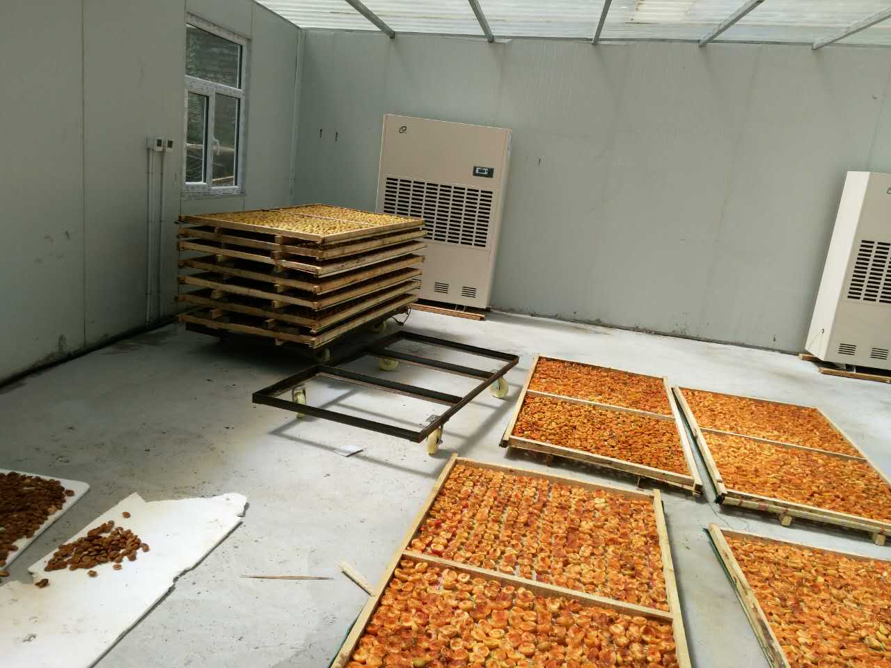 杏干烘干機(jī)