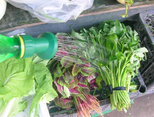 保鮮噴霧加濕器