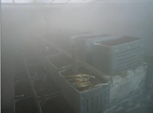 果蔬氣調(diào)庫(kù)增濕器