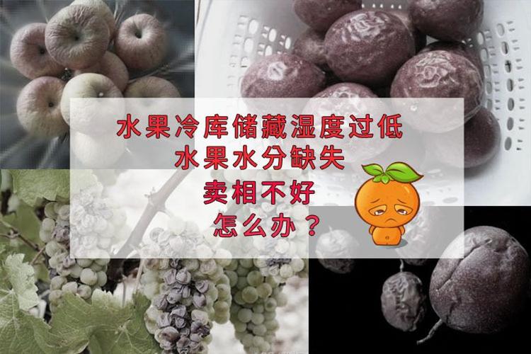 果蔬氣調(diào)庫(kù)增濕器