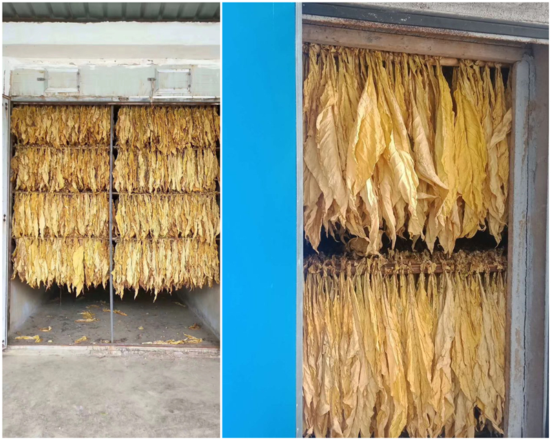 炕房專用潮煙機