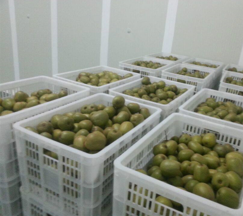 氣調保鮮庫加濕器