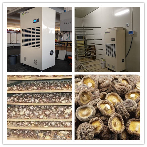 1603113801857723824.jpg 香菇除濕機(jī).jpg