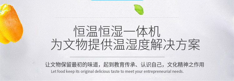 展柜恒溫恒濕機(jī)