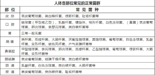 人體全身噴霧消毒機.png 人體全身噴霧消毒機.png