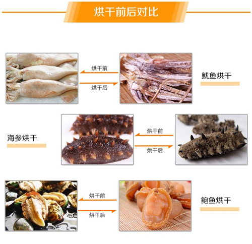 水產(chǎn)品烘干除濕機