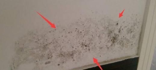 家用空氣防潮抽濕機.jpg 家用空氣防潮抽濕機.jpg