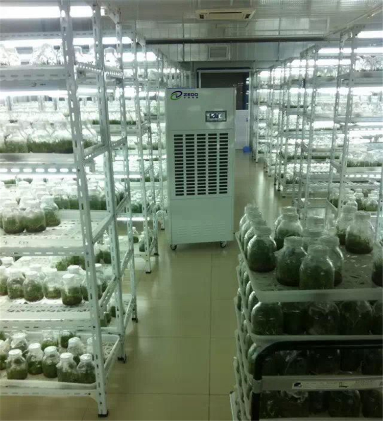 溫室大棚控濕機