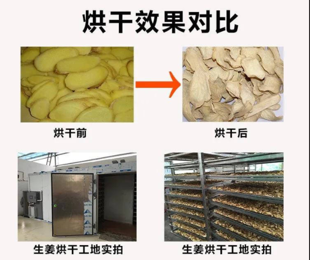 干姜片烘干除濕機.png 干姜片烘干除濕機.png