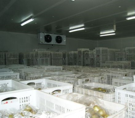 獼猴桃氣調庫加濕器.jpg 獼猴桃氣調庫加濕器.jpg