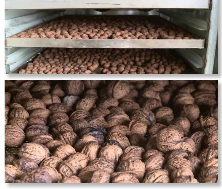 山核桃烘干除濕機(jī).jpg 山核桃烘干除濕機(jī).jpg