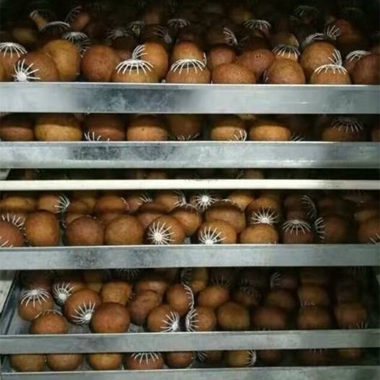 小青柑熱風烘干除濕機.jpg 小青柑熱風烘干除濕機.jpg