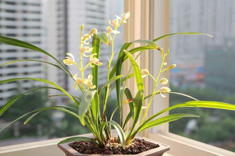 1642207156018724888.jpg 1642207156018724888.jpg