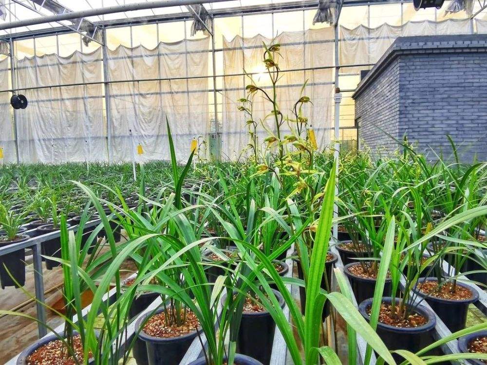 1642207241231099229.jpg 1642207241231099229.jpg