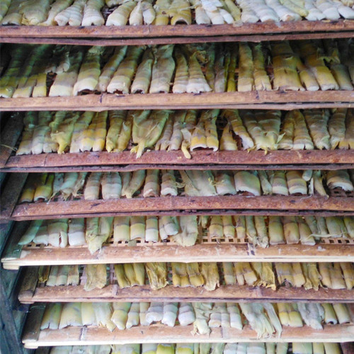 1646296378089878527.jpg 筍.jpg