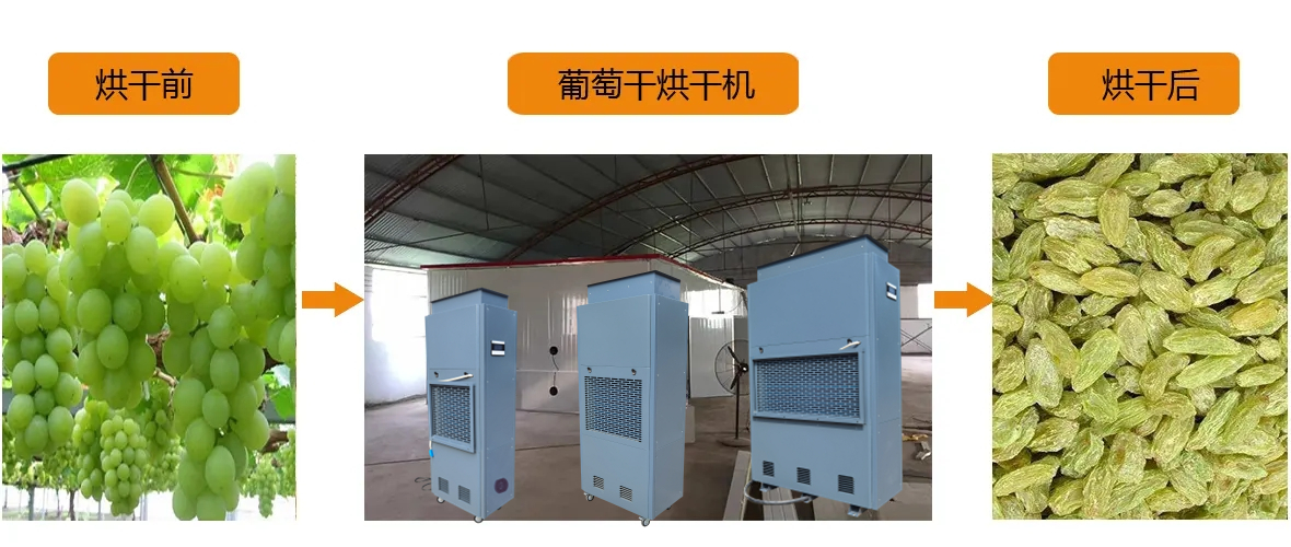 葡萄干烘干設備