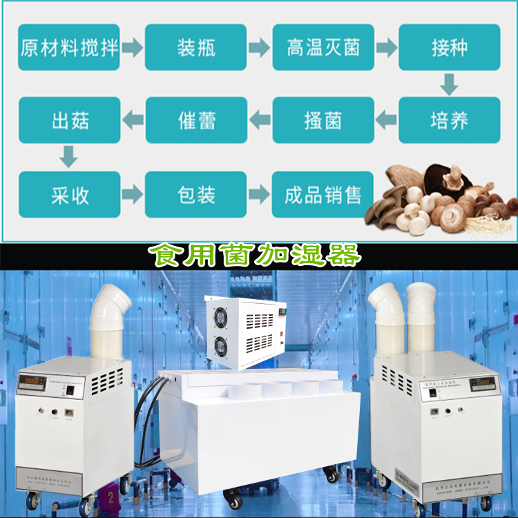 蘑菇房加濕器