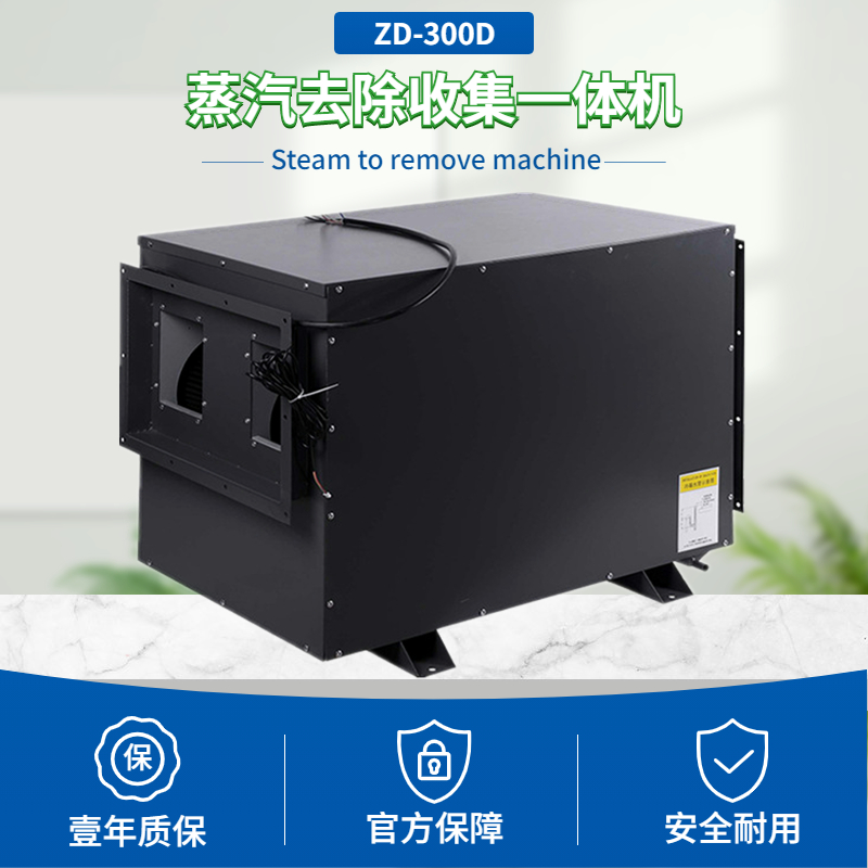 吊裝蒸汽去除機