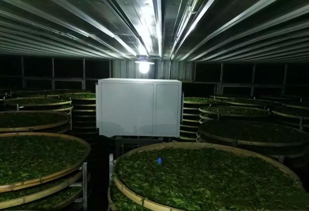 茶葉萎凋室除濕機