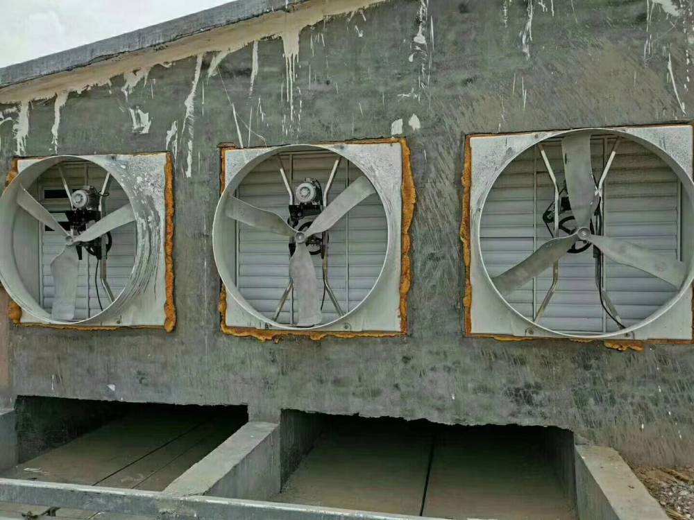 室內(nèi)除霧方法