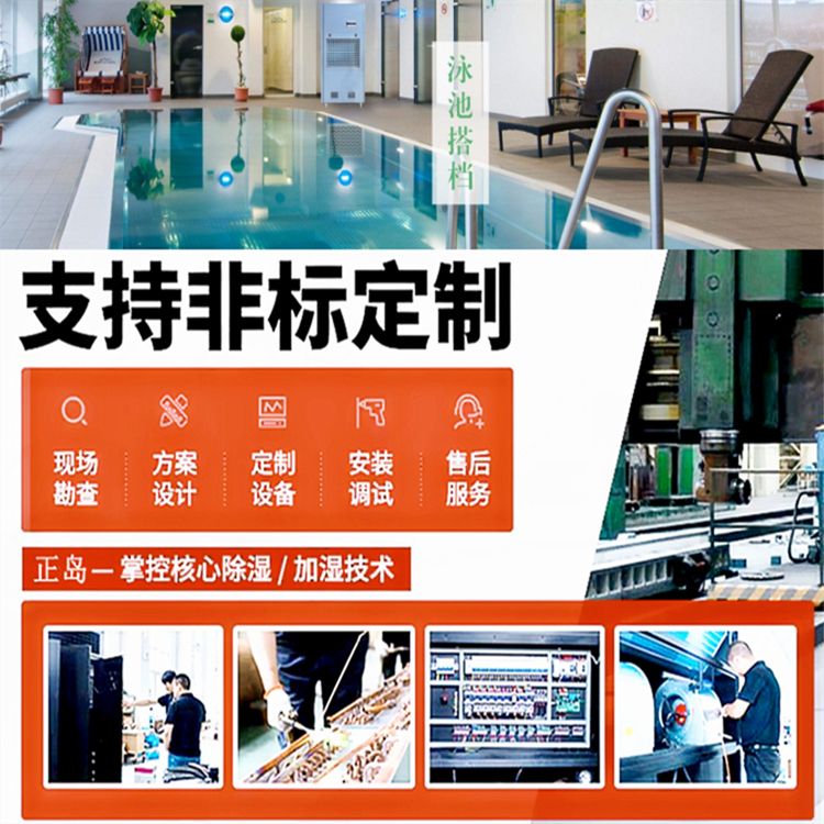 泳池除濕機