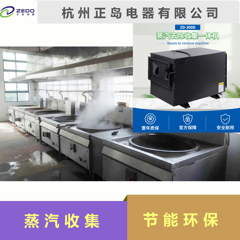 蒸汽收集消除機