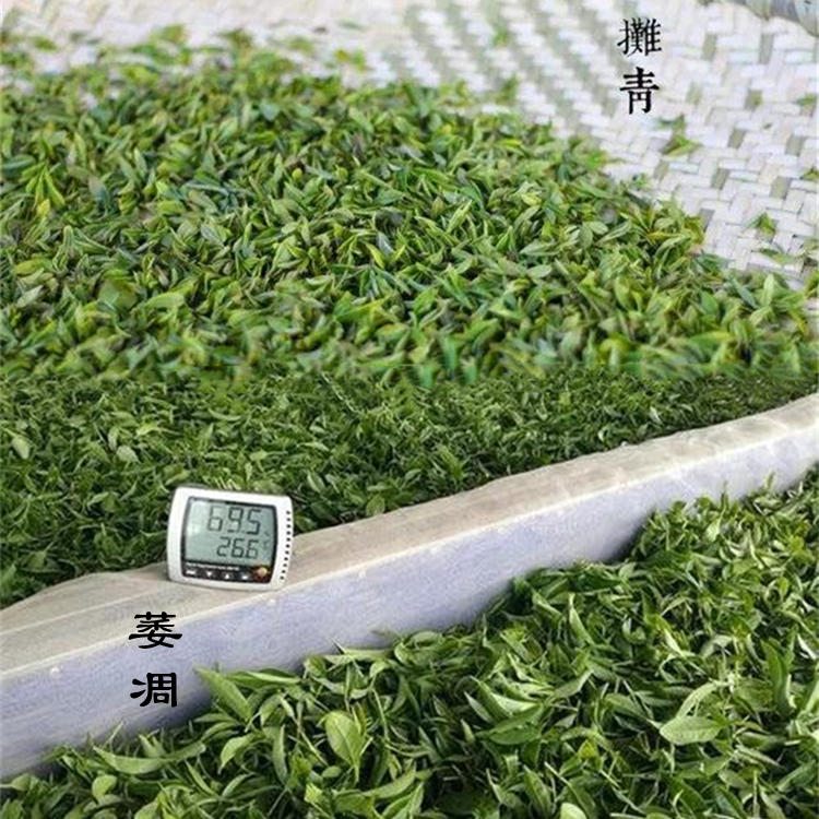 茶葉如何快速除濕？