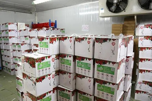 荔枝保鮮庫噴霧加濕機