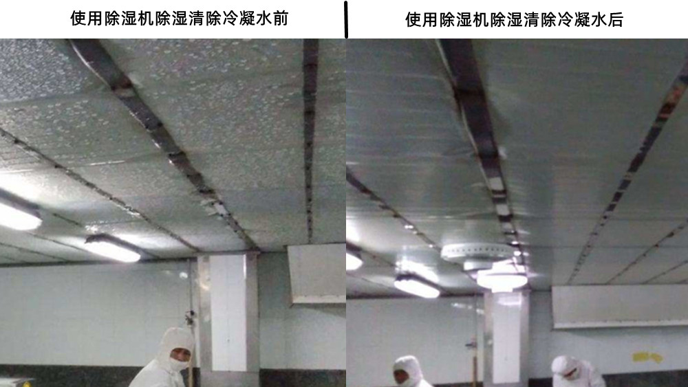 去除冷凝水的除濕機